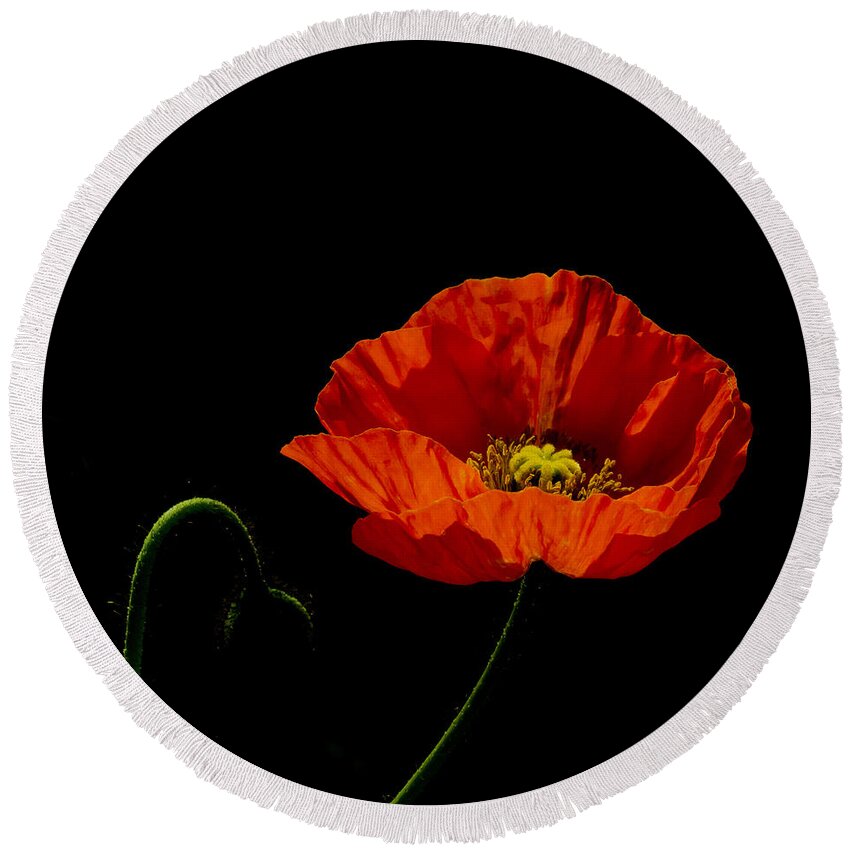 Background Round Beach Towel featuring the photograph Papaver by TouTouke A Y