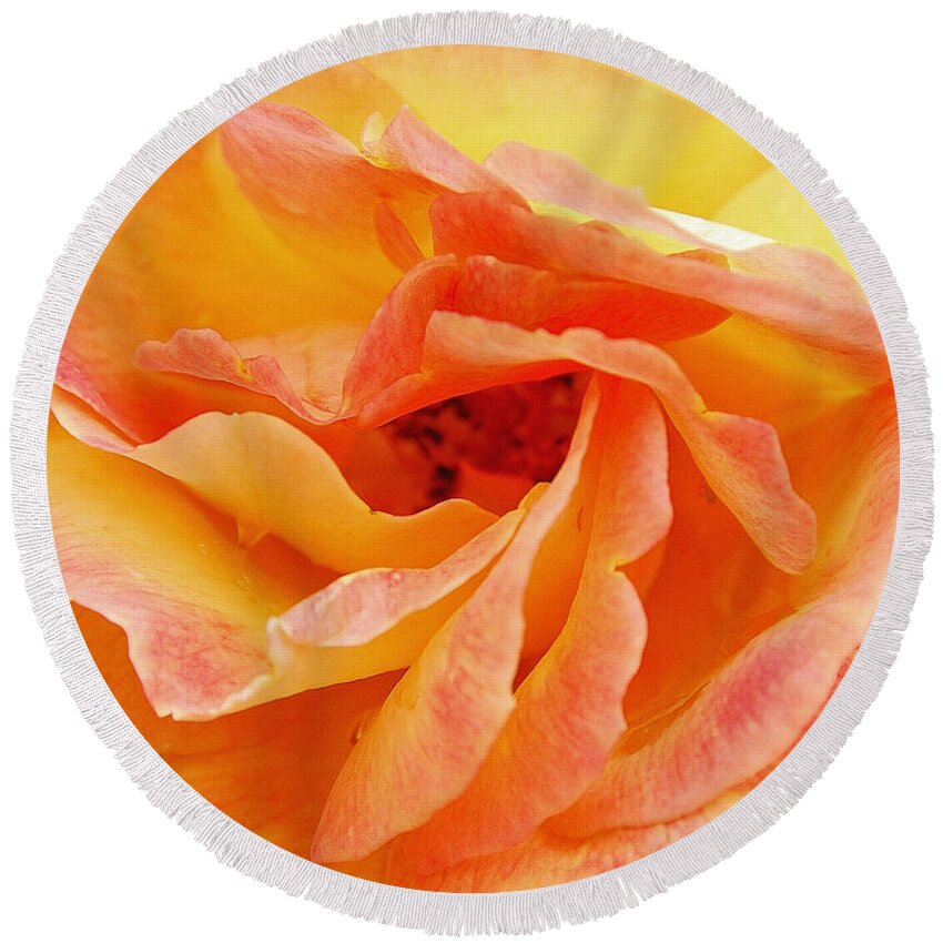 Peach Rose Round Beach Towel featuring the photograph Peach Rose #2 by Allen Beatty