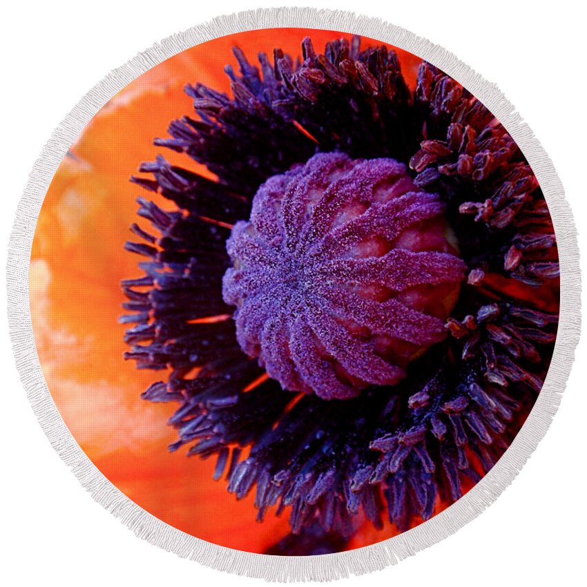 Poppy Round Beach Towel featuring the photograph Poppy by Rona Black
