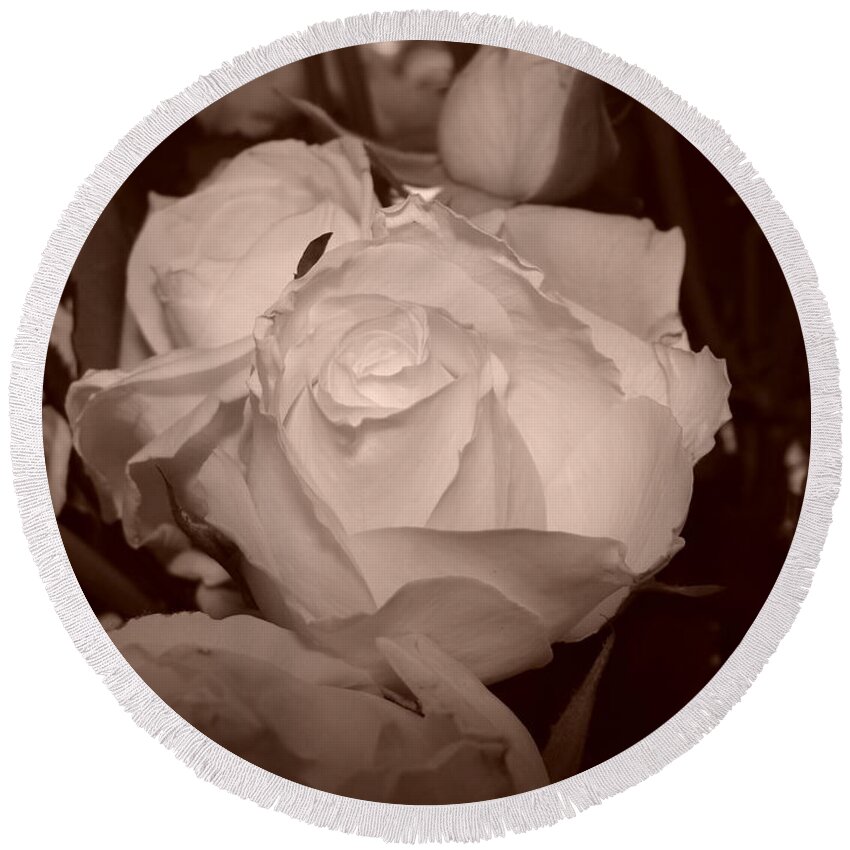 Rose Round Beach Towel featuring the photograph Rose #1 by Tiziana Maniezzo