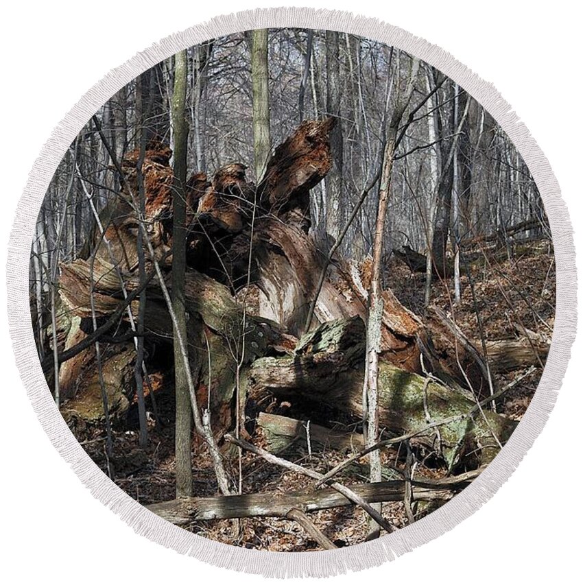 Forest Floor Round Beach Towel featuring the photograph Sculpture #1 by Joseph Yarbrough