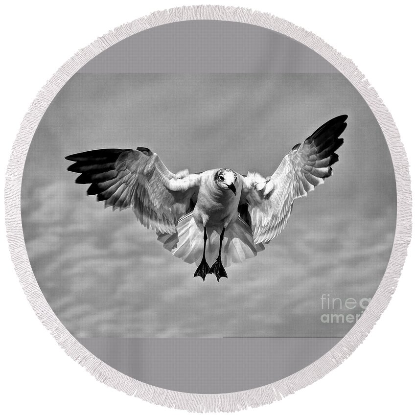 Flight Round Beach Towel featuring the photograph Seagull #2 by Savannah Gibbs