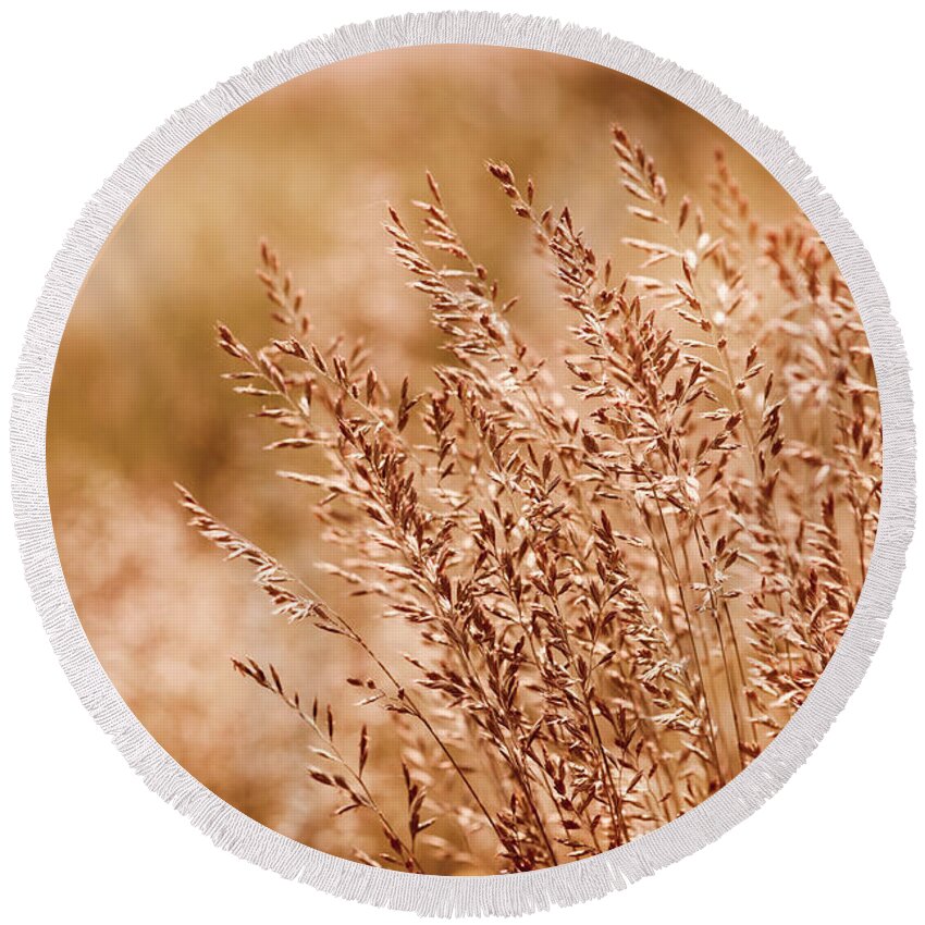  Allergic Round Beach Towel featuring the photograph Clump of grass inflorescence with pollen by Arletta Cwalina