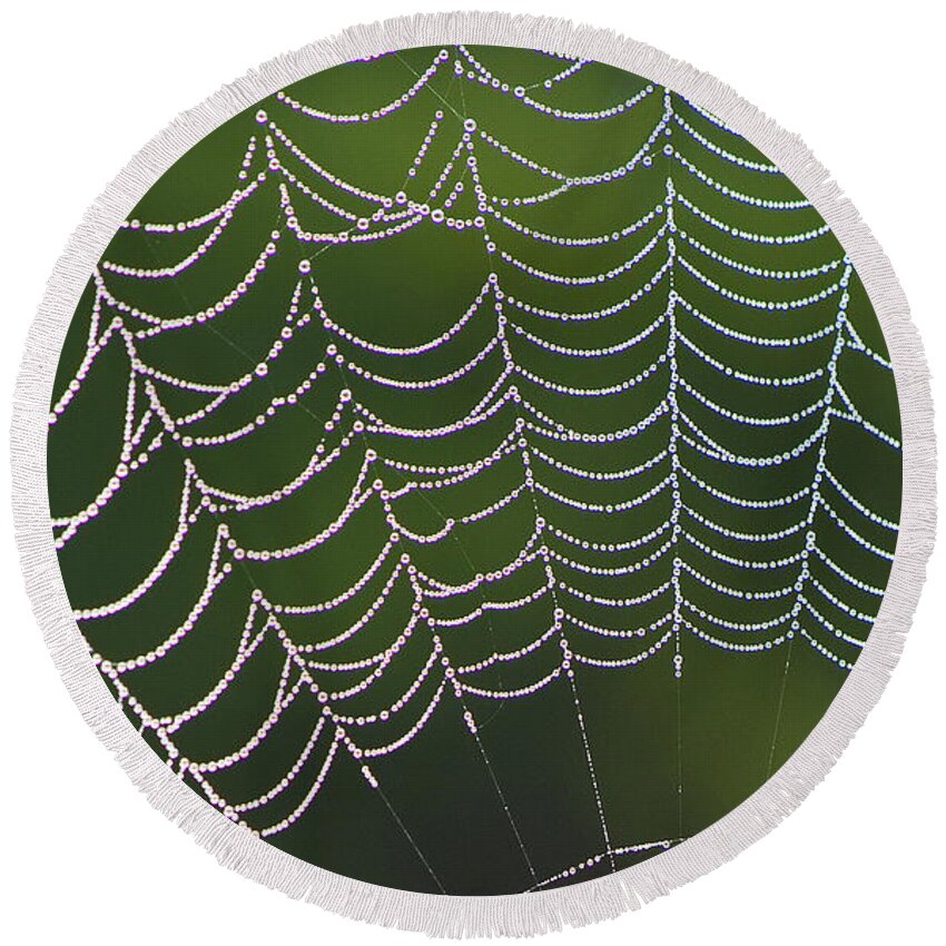 Spiderweb Round Beach Towel featuring the photograph Spider Web #2 by Heiko Koehrer-Wagner