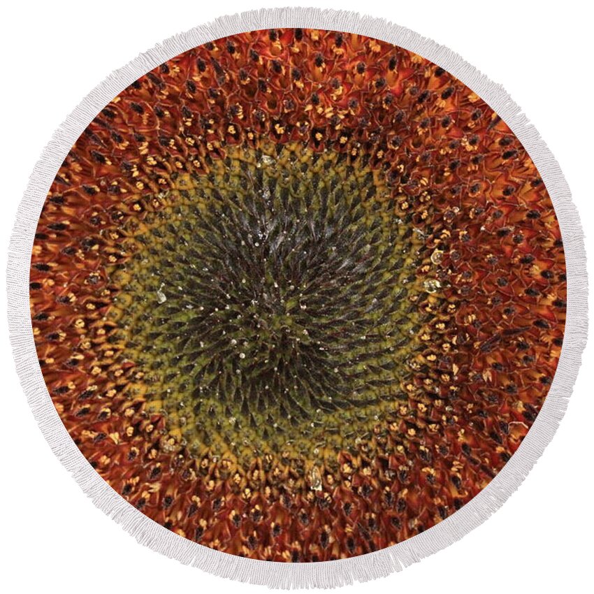 Background Round Beach Towel featuring the photograph Sunflower Seeds by Amanda Mohler