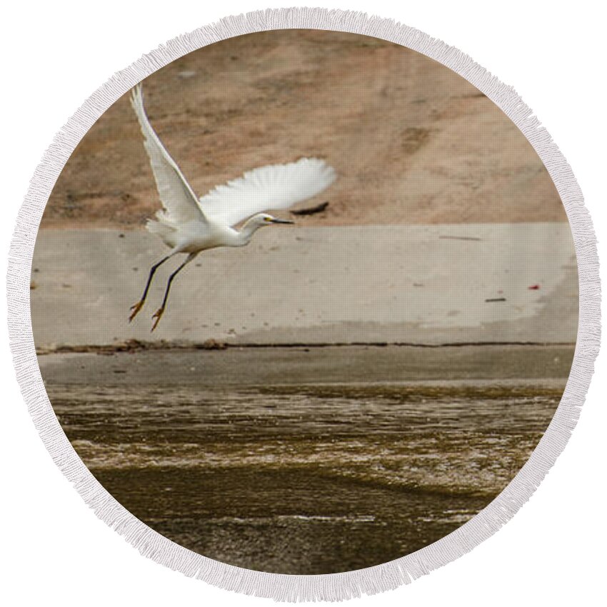 Bird Round Beach Towel featuring the photograph Taking Off #3 by Donna Brown