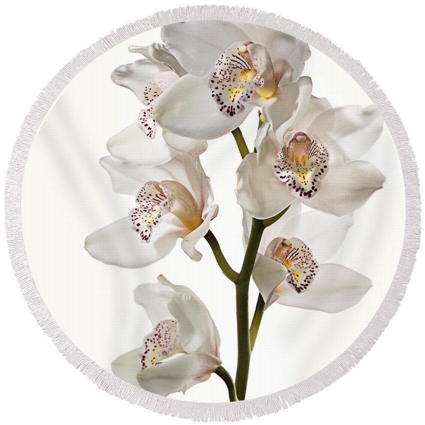 Flower Round Beach Towel featuring the photograph White Orchids by Endre Balogh