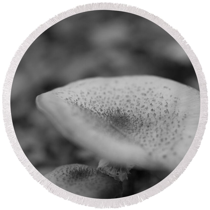 Miguel Round Beach Towel featuring the photograph Wild Mushroom #1 by Miguel Winterpacht