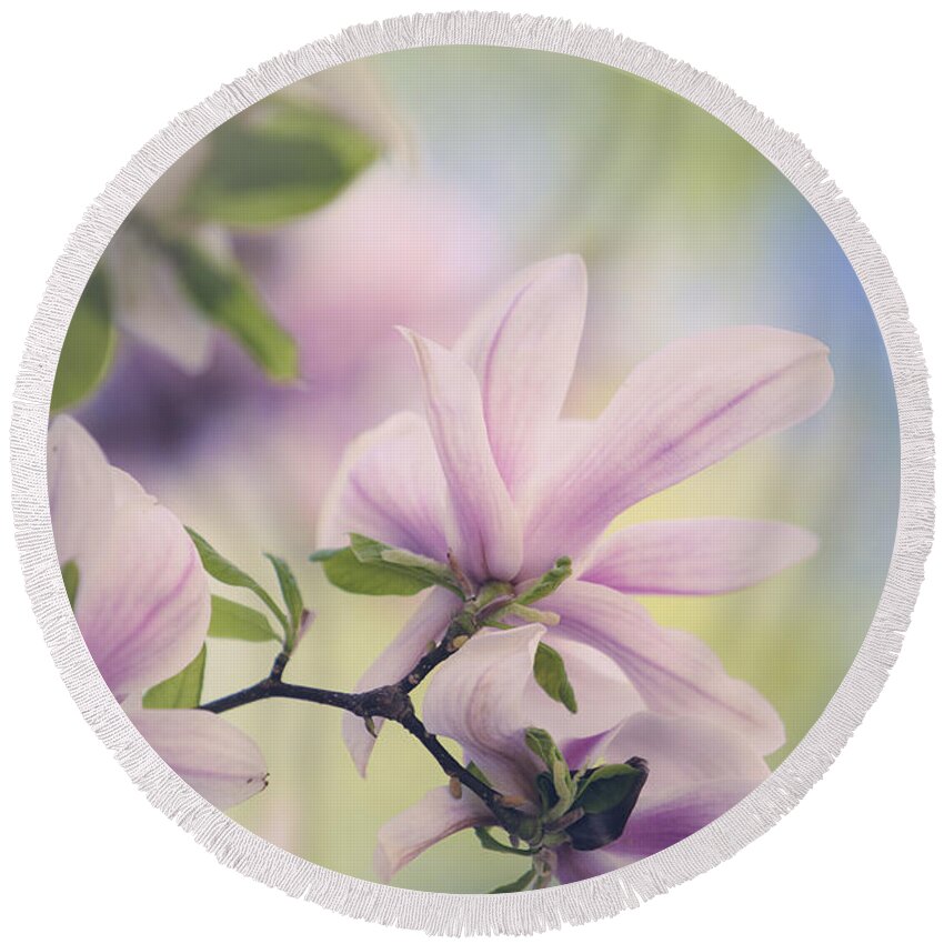 Magnolia Round Beach Towel featuring the photograph Magnolia Flowers by Nailia Schwarz