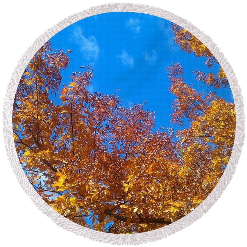 Fall Round Beach Towel featuring the photograph Autumn Color #6 by Kenny Glover