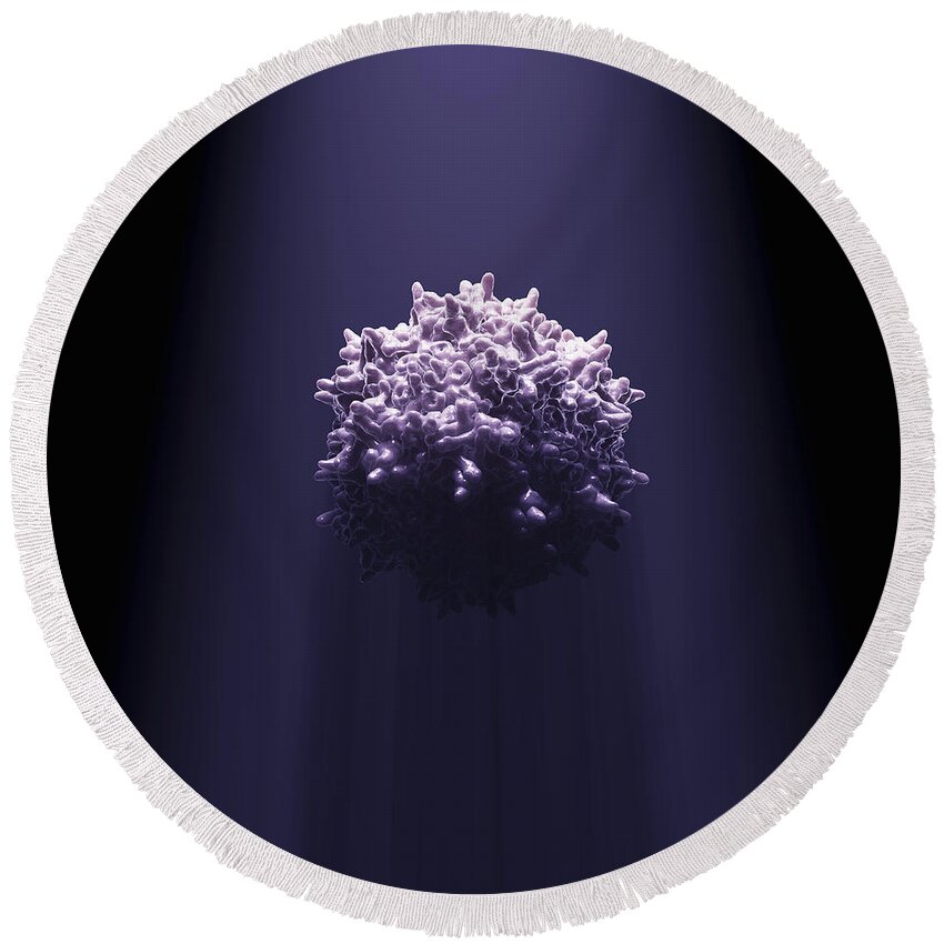 Aav Round Beach Towel featuring the photograph Adeno-associated Virus #2 by Science Picture Co