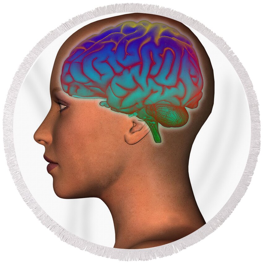 Attention Round Beach Towel featuring the photograph Brain And Womans Head #4 by Scott Camazine
