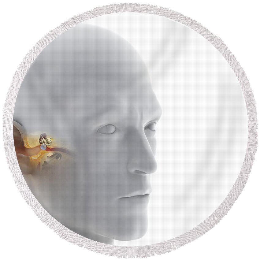 Transparent Skin Round Beach Towel featuring the photograph Ear Anatomy #9 by Science Picture Co