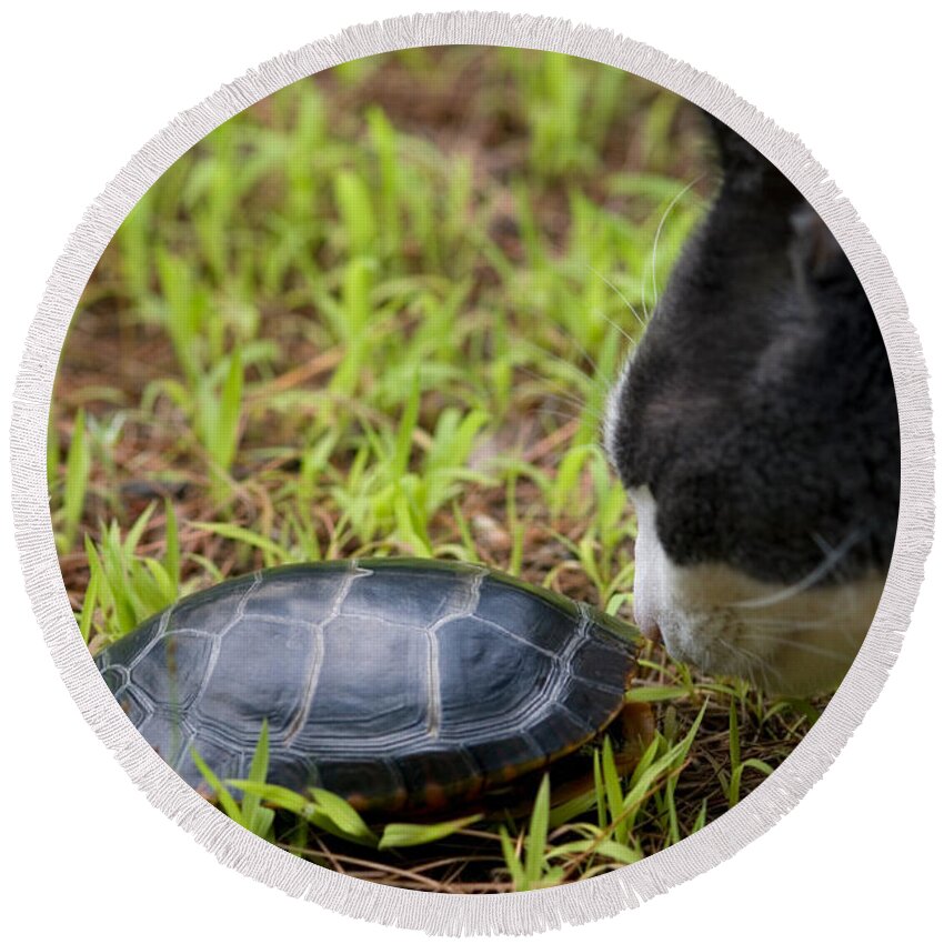Animal Round Beach Towel featuring the photograph Eastern Painted Turtle #2 by Paul Whitten