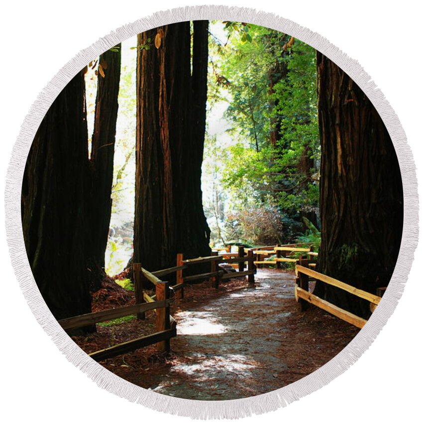Usa Round Beach Towel featuring the photograph Giant Redwoods by Aidan Moran