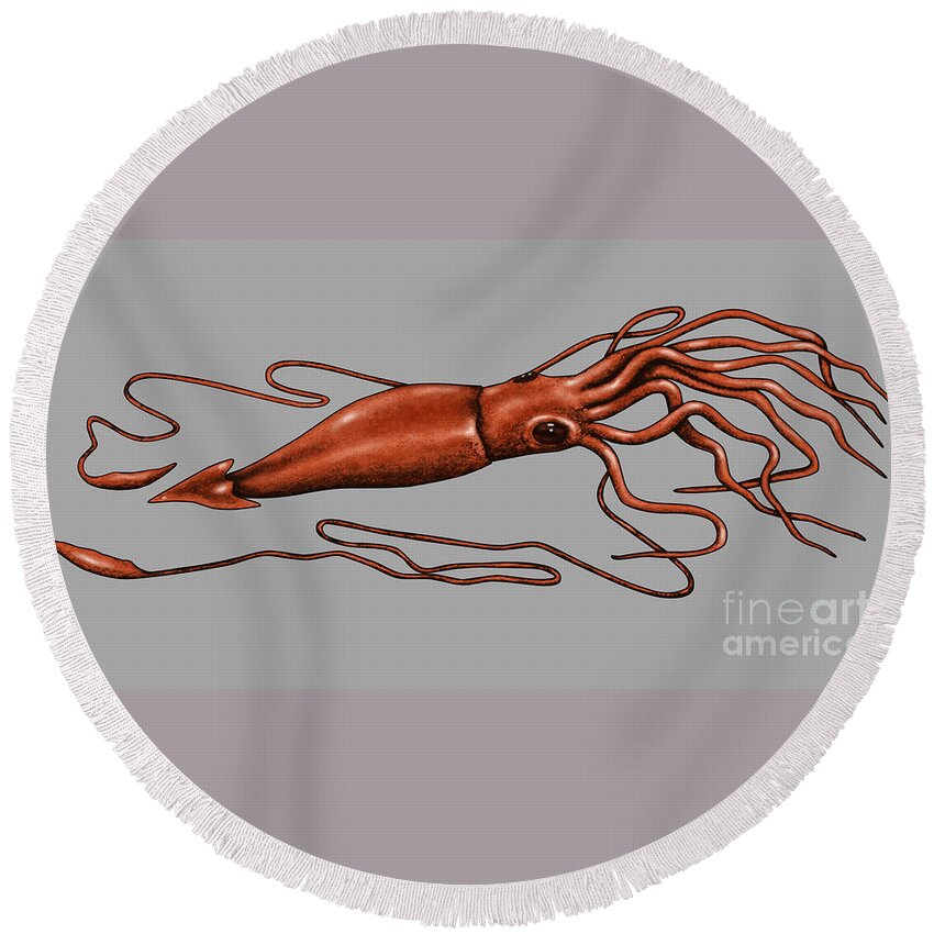 Animal Round Beach Towel featuring the photograph Giant Squid #2 by Gwen Shockey