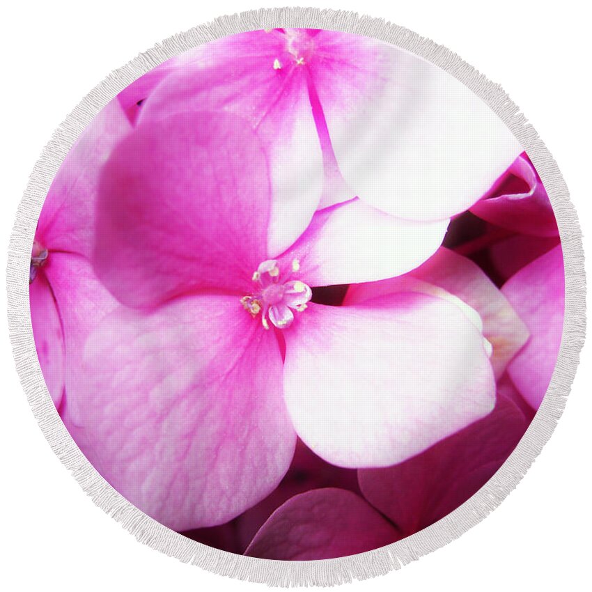 Hortensia Round Beach Towel featuring the photograph Dreamy Pink Hortensia by Nina Ficur Feenan