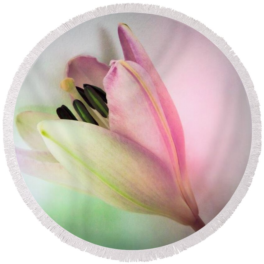 Lily Round Beach Towel featuring the photograph Lily in My Dreams #2 by Marianna Mills