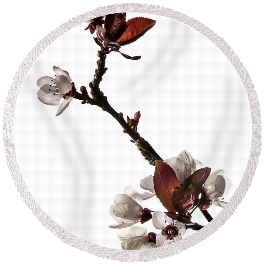 Flower Round Beach Towel featuring the photograph Plum Flowers #2 by Endre Balogh