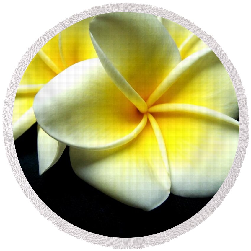 Plumeria Round Beach Towel featuring the photograph Plumerias by Jamie Johnson