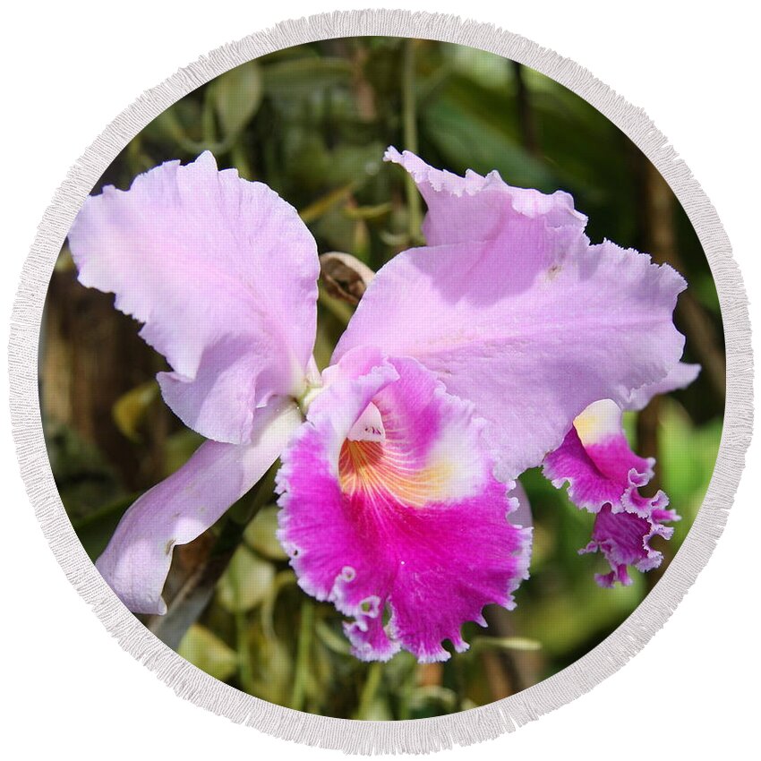 Orchid Round Beach Towel featuring the photograph Pretty Pink by Christiane Schulze Art And Photography
