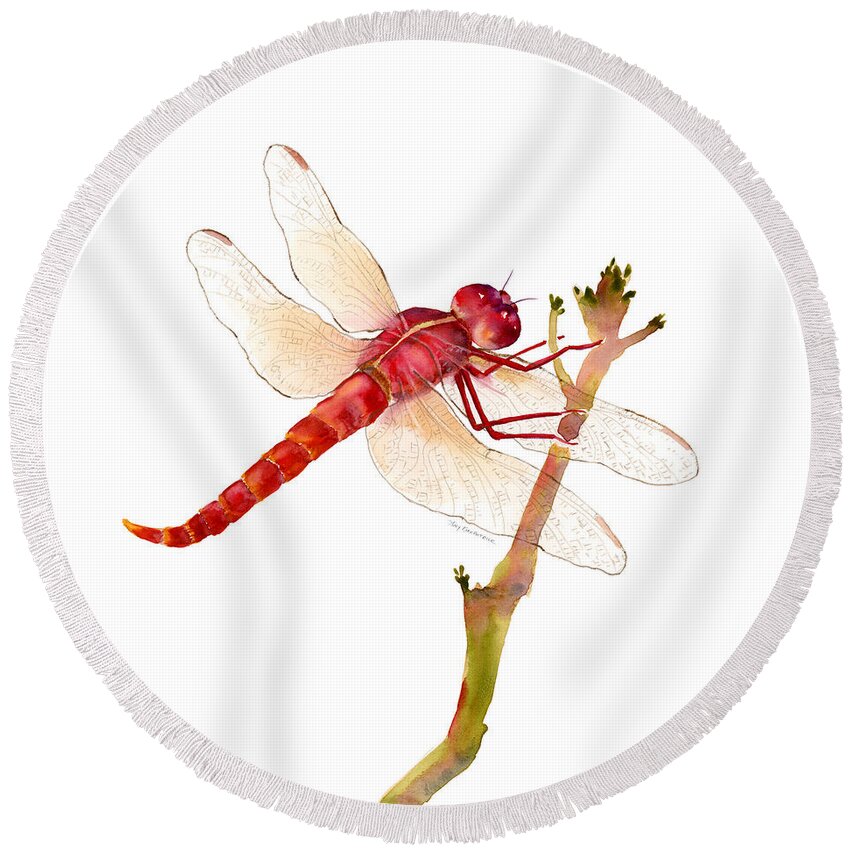 Red Round Beach Towel featuring the painting Red Dragonfly by Amy Kirkpatrick