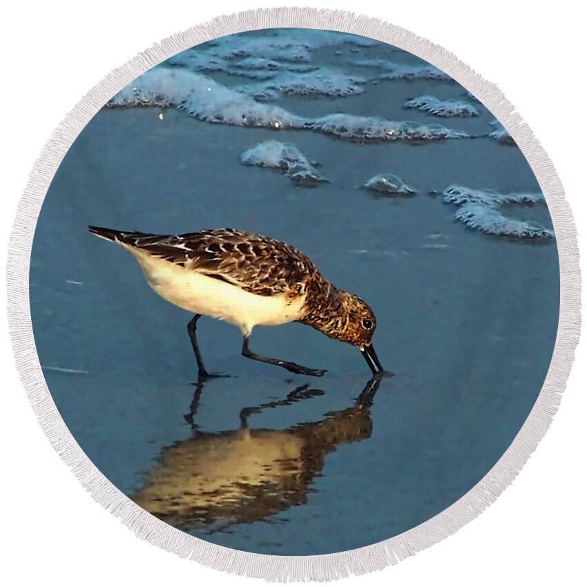 Sandpiper Round Beach Towel featuring the photograph Reflection At Sunset #1 by Sandi OReilly