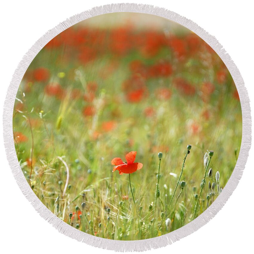 Landscape Round Beach Towel featuring the photograph The First Poppy Of The Field by Guido Montanes Castillo