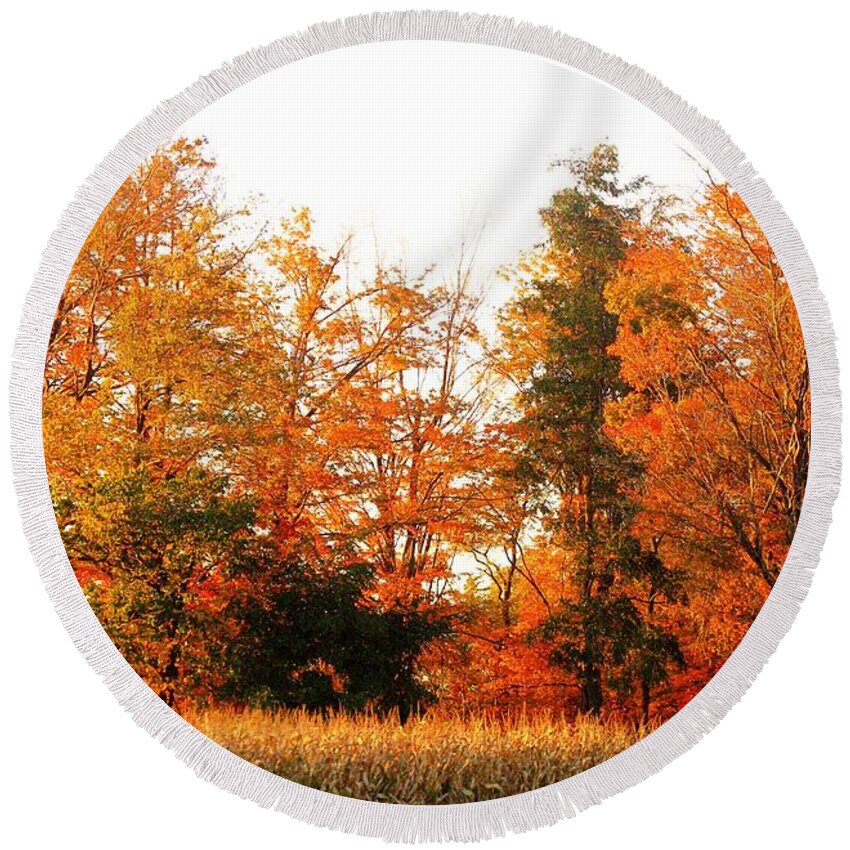 Trees Round Beach Towel featuring the photograph Trees of Fall #2 by Rhonda Barrett