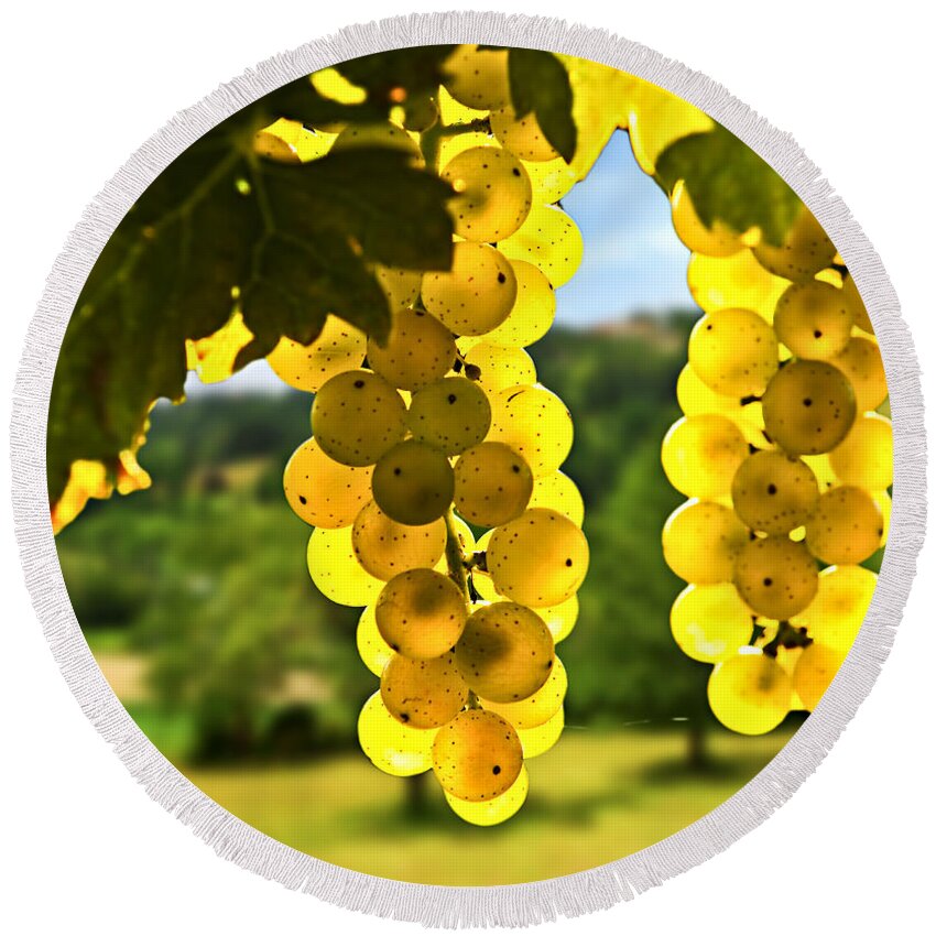 Green Round Beach Towel featuring the photograph Yellow grapes 1 by Elena Elisseeva