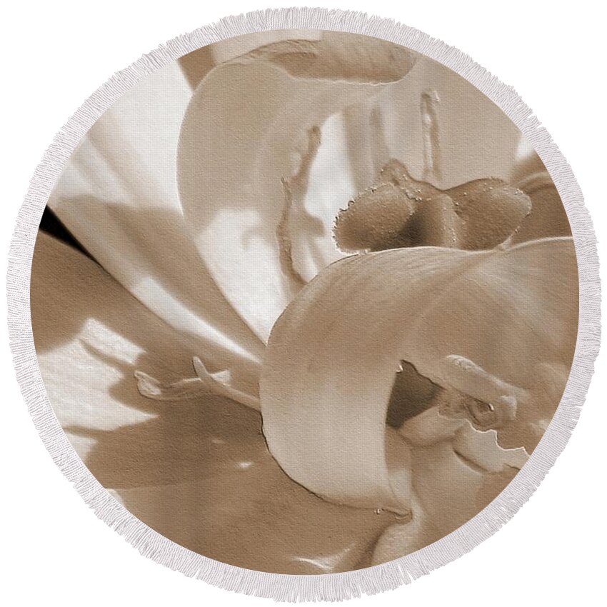 Double Late Tulip Round Beach Towel featuring the photograph Double Late Tulip named Angelique #3 by J McCombie