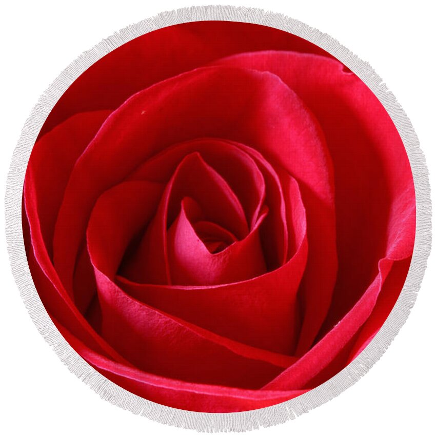 Background Round Beach Towel featuring the photograph Red Rose #3 by Peter Lakomy