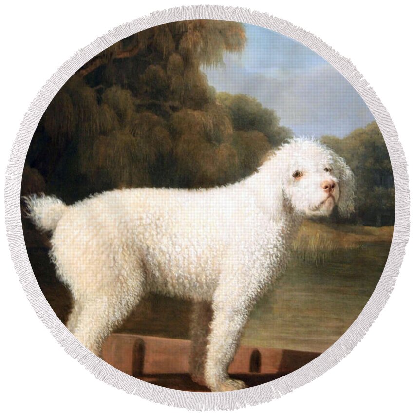 White Poodle In A Punt Round Beach Towel featuring the photograph Stubbs' White Poodle In A Punt by Cora Wandel