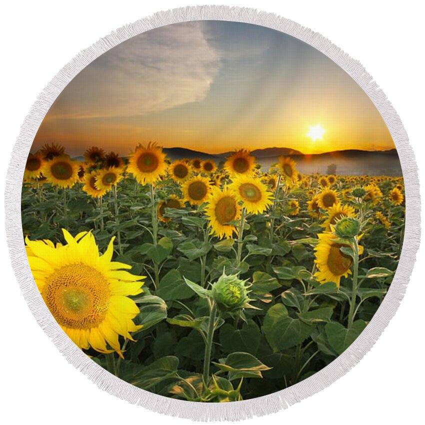 Summer Round Beach Towel featuring the photograph Summer Morning #3 by Mircea Costina Photography