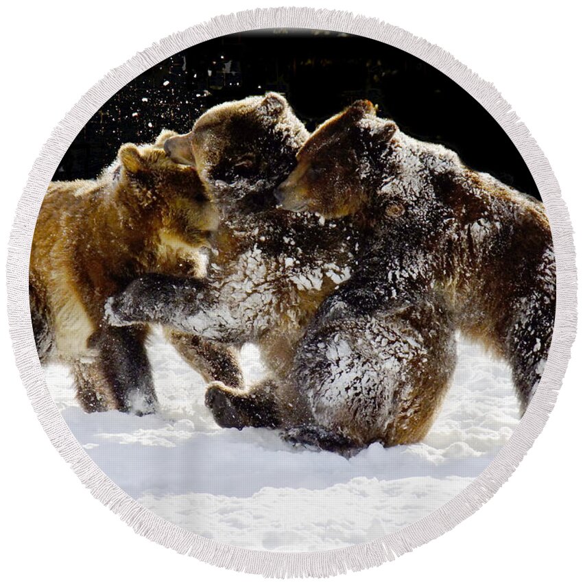 Grizzlies Round Beach Towel featuring the photograph 300 Pound Playmates by Kae Cheatham