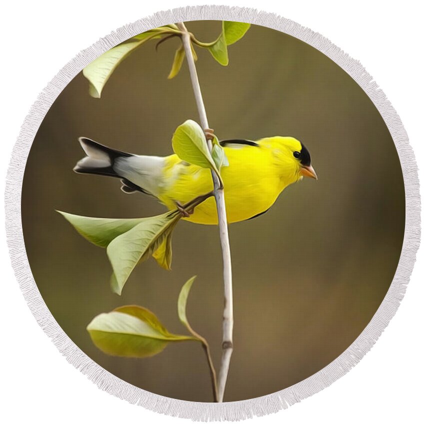 Goldfinch Round Beach Towel featuring the painting American Goldfinch by Christina Rollo
