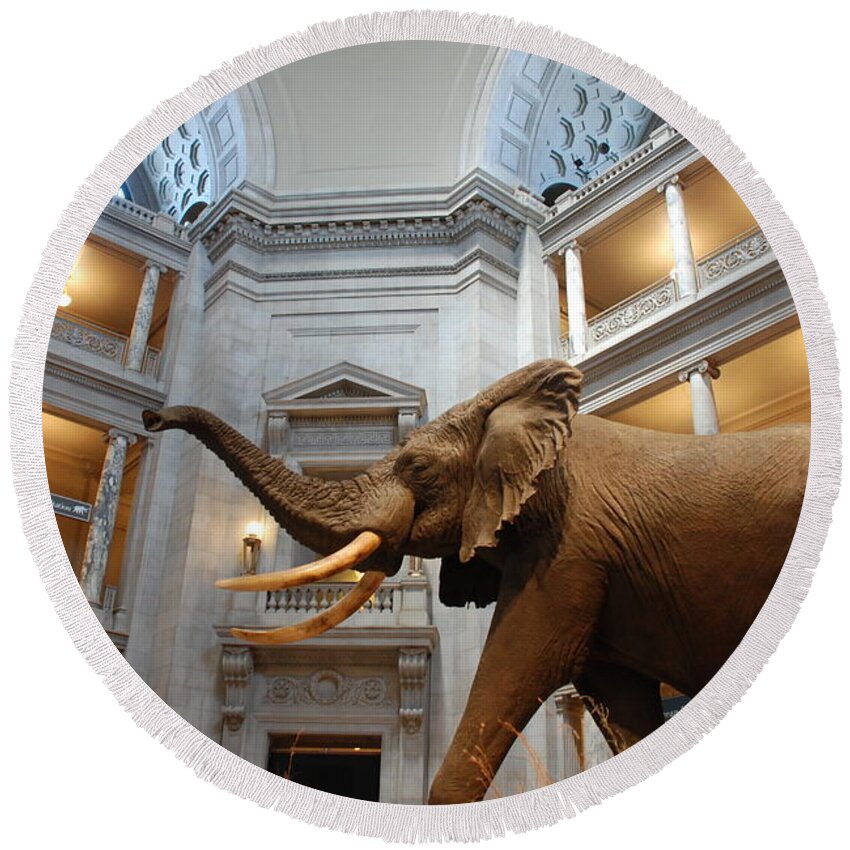 Bull Elephant Round Beach Towel featuring the photograph Bull Elephant in Natural History Rotunda #4 by Kenny Glover