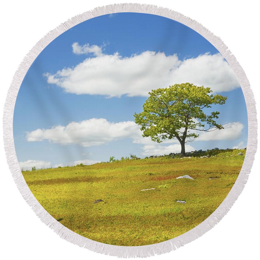 Tree Round Beach Towel featuring the photograph Lone Tree With Blue Sky In Blueberry Field Maine #4 by Keith Webber Jr