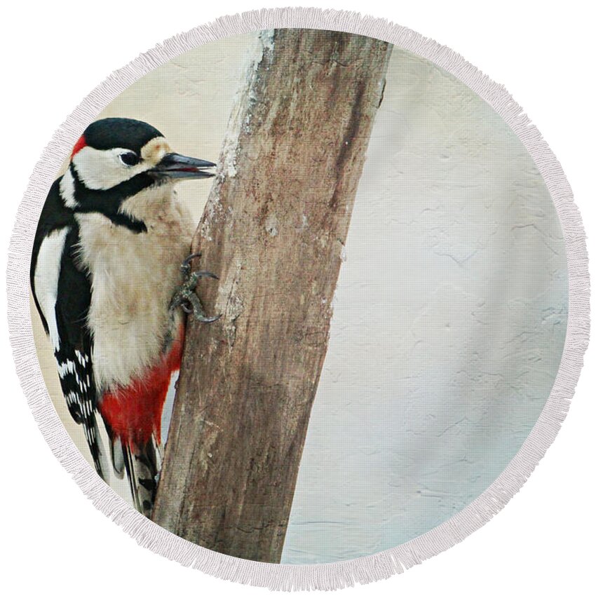 Animal Round Beach Towel featuring the mixed media Woodpecker #5 by Heike Hultsch