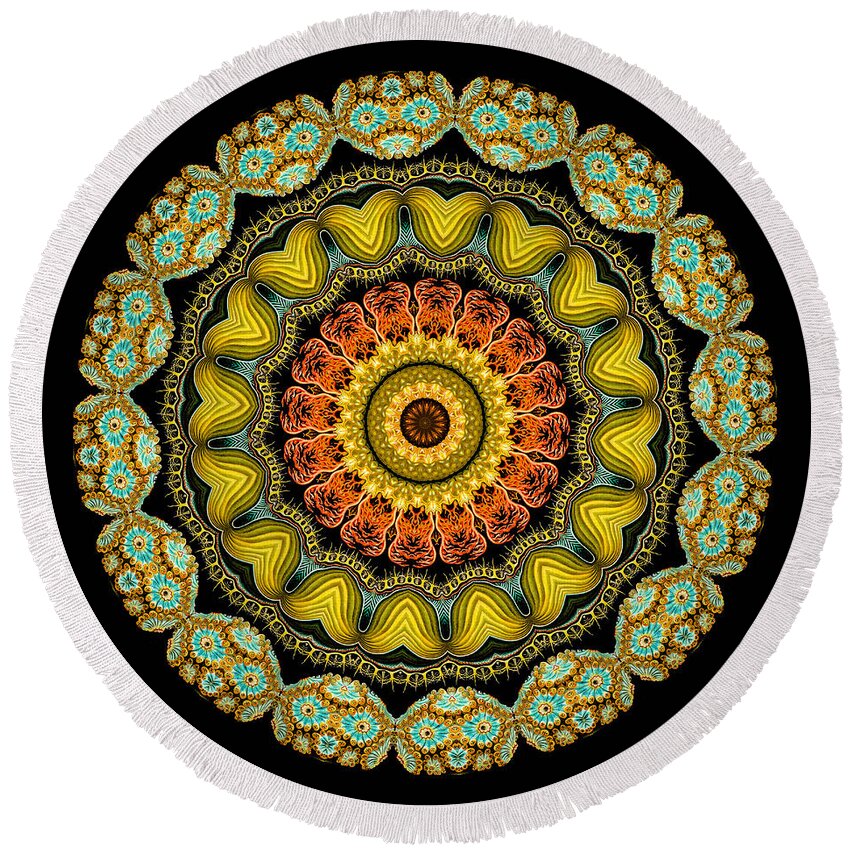 Ernst Haeckel Round Beach Towel featuring the photograph Kaleidoscope Ernst Haeckl Sea Life Series #8 by Amy Cicconi