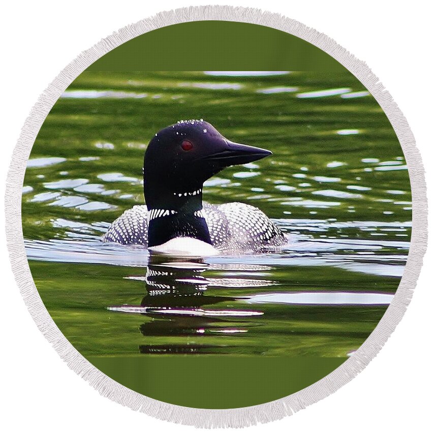 Loon Round Beach Towel featuring the photograph A Bit of Serenity by Bruce Bley