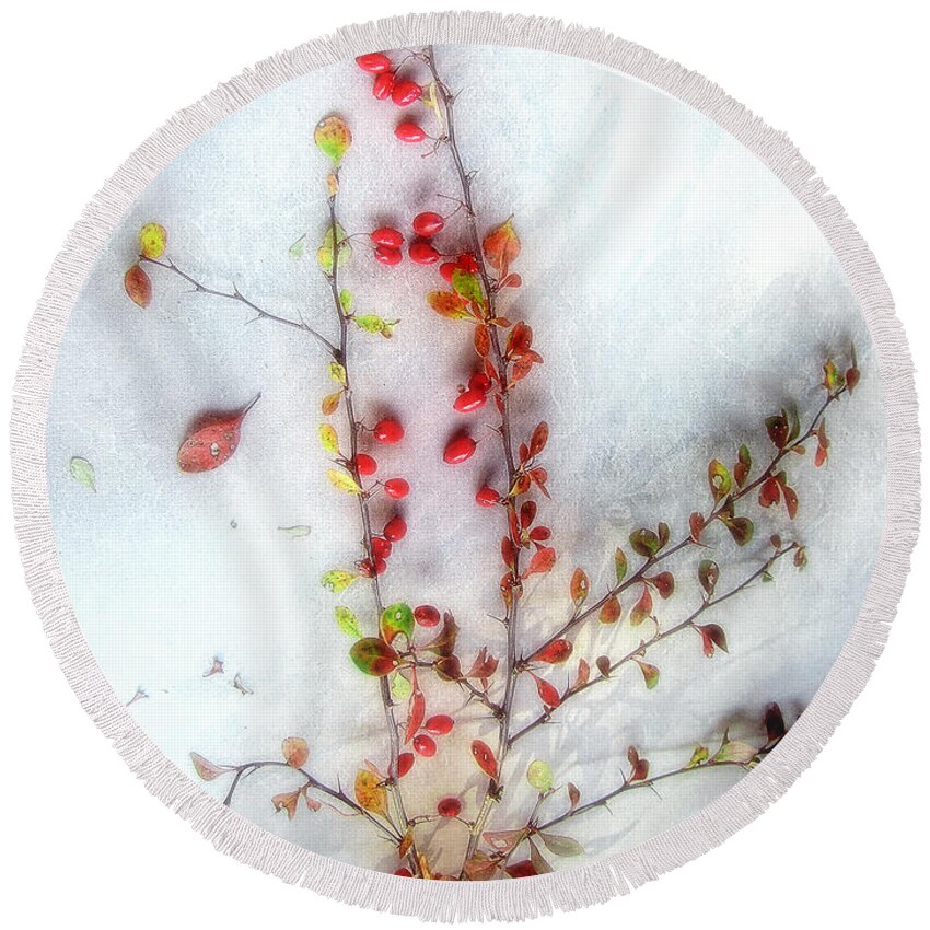 Berberis Vulgaris Round Beach Towel featuring the photograph A Branch of Colorful Barberries by Louise Kumpf