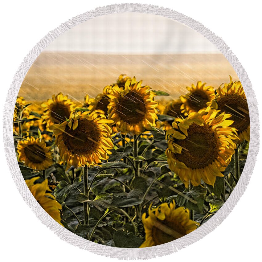 Flowers Round Beach Towel featuring the photograph A Chance of Showers by Jim Garrison