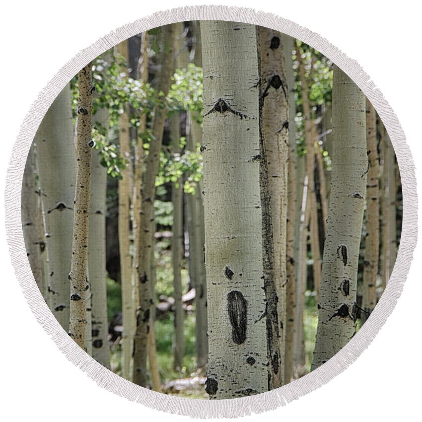 Birch Trees Round Beach Towel featuring the photograph A Change of Weather by Saija Lehtonen