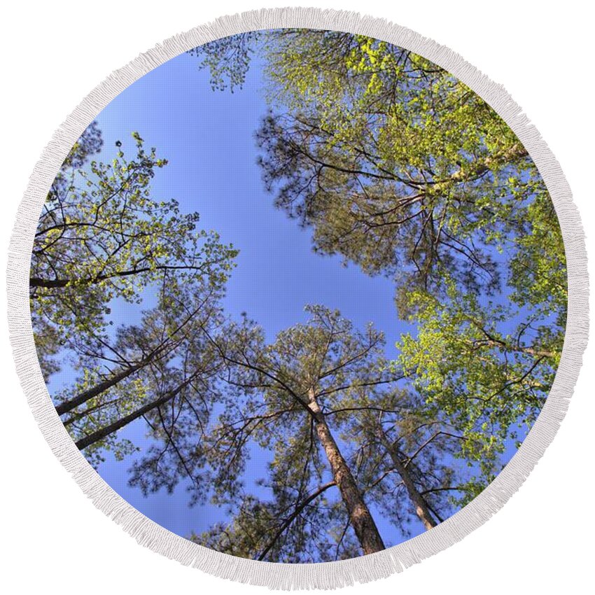 8272 Round Beach Towel featuring the photograph A Forest Sky by Gordon Elwell