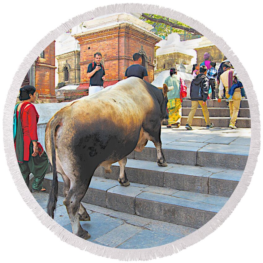 A Holy Cow Climbing Steps From Bagmati River In Kathmandu In Nepal Round Beach Towel featuring the photograph A Holy Cow Climbing Steps from Bagmati River in Kathmandu-Nepal by Ruth Hager
