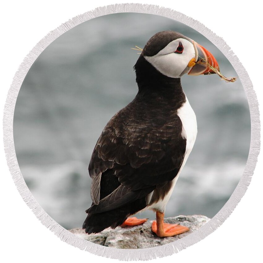 Puffin Round Beach Towel featuring the photograph A mouth full by Sue Leonard