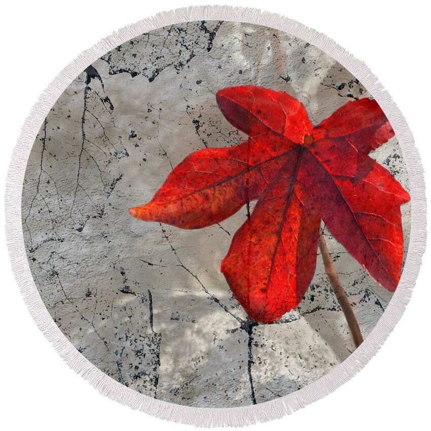 Red Fall Leaf Round Beach Towel featuring the photograph A Perfect Fall Red by Sandi OReilly