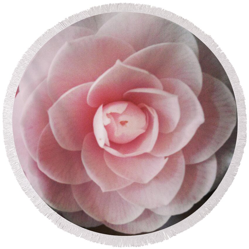 Rose Round Beach Towel featuring the photograph A Rose Is A Rose Is A Rose by Michael Merry
