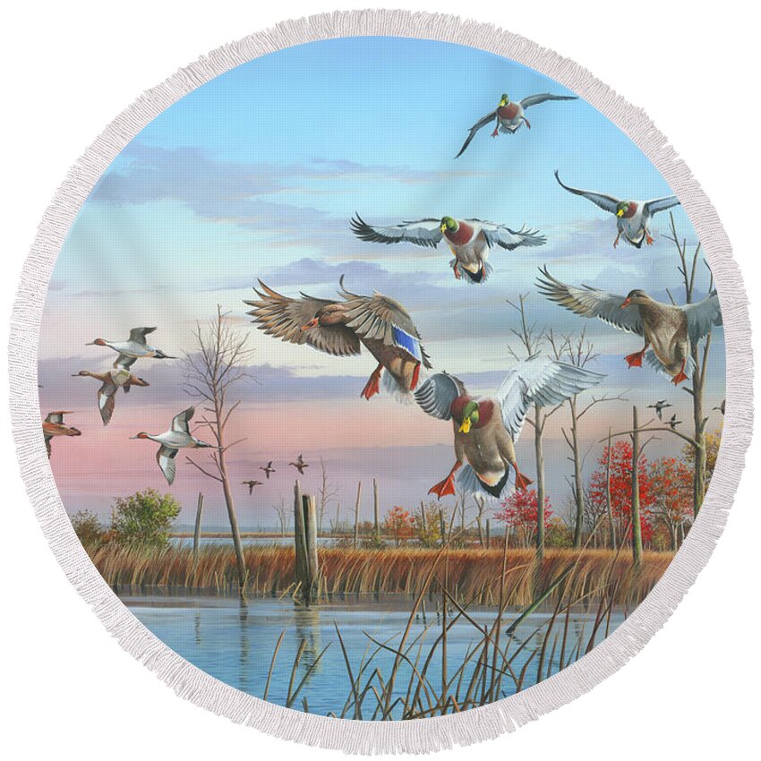 Mallards Round Beach Towel featuring the painting A Safe Return by Mike Brown